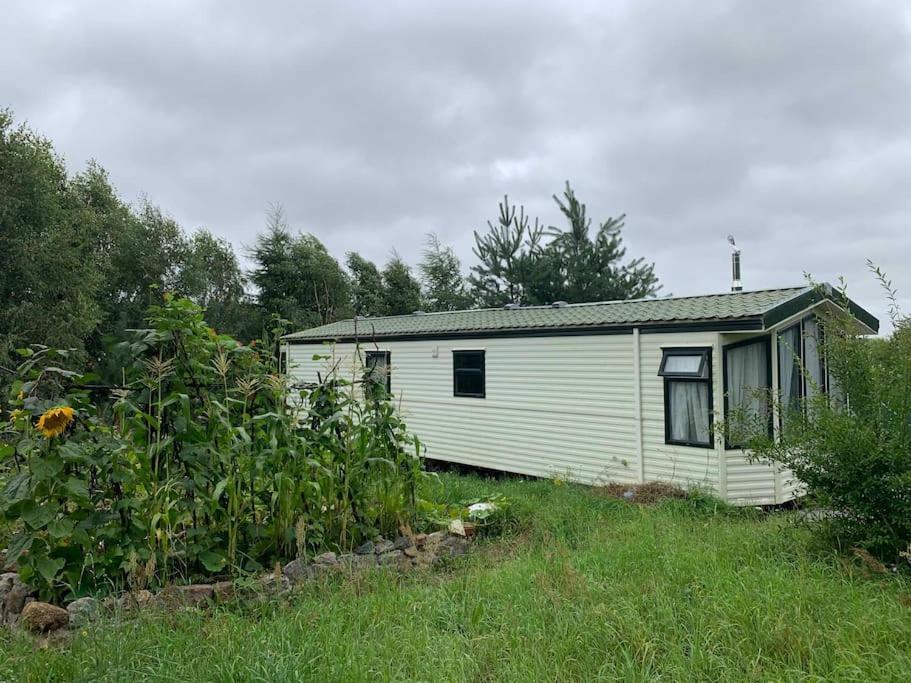 Domek Holenderski Jasnotka Golubie Exterior foto